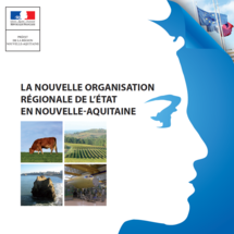 Brochure sur la nouvelle organisation régionale de l'Etat en Nouvelle-Aquitaine