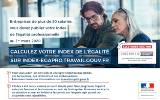 Index de l'égalité professionnelle pour les entreprises de 50 salariés et plus