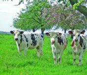 Mobilisation de l’État en faveur de l’agriculture et de l’élevage  en Pays de la Loire
