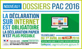 Capture du dispositif de télédéclaration Télépac