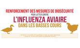 Inforgraphie nationale