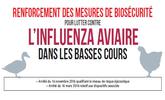 Infographie nationale