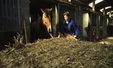 Photo agricultrice