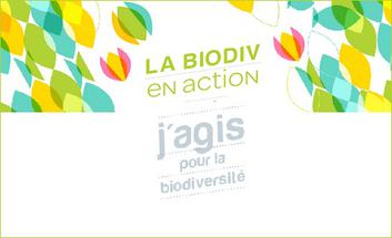Biodiversité - Des projets de la région labellisés « J'agis pour la biodiversité »