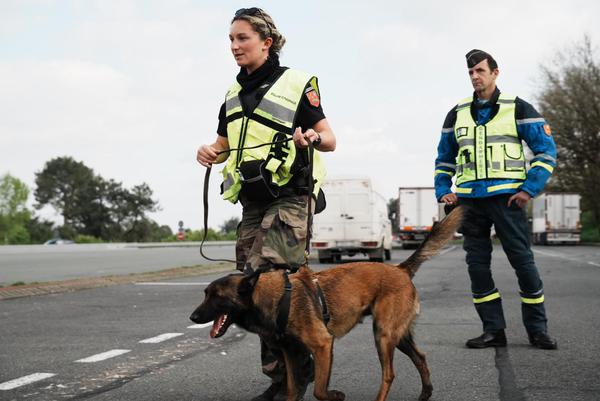 Photo de deux gendarmes et un chien renifleur [Image126573]
