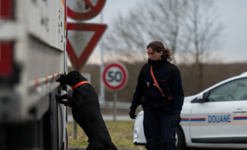 Activités des services douaniers – Un bilan régional conséquent en 2015