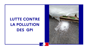 Granulés de plastiques industriels déversés par terre.