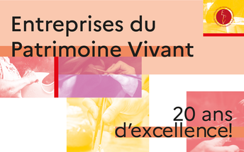 Vignette générique 20 ans EPV