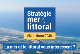 Vignette consultation mer littoral