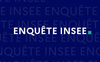 Vignette INSEE