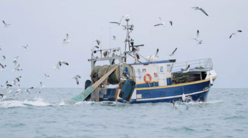 Photo d'un bateau de pêche en mer [Image934828]