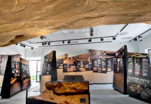 Photo de l'exposition de la Grotte de Cussac