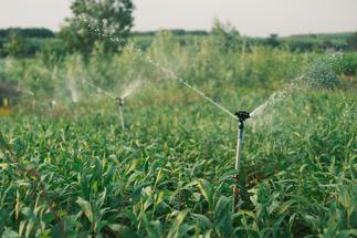 Irrigation de champs 