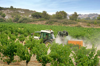 Ouvrier agricole