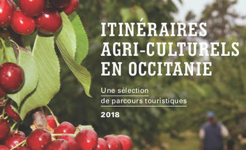 Couverture de la palquete