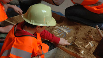 JNA de juin 2016 Toulouse Ecole Fabre