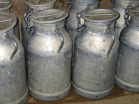 Bidons de lait