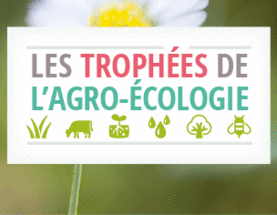 Visuel Trophées de l’agro-écologie 2018-2019