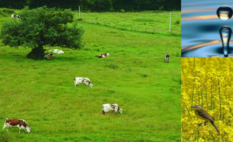 Ouverture de la campagne annuelle de télédéclaration des pratiques de fertilisation